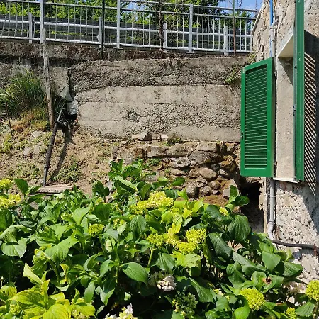 Casa Vacanze Alloro *